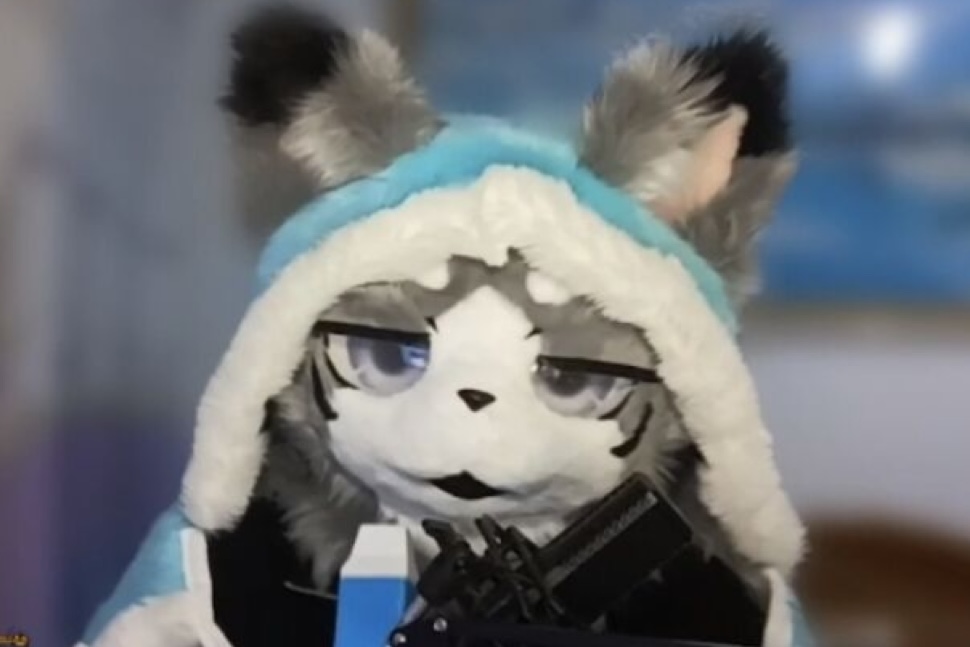 虎斑猫星珲头像